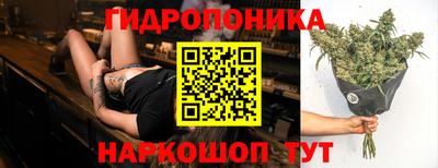 наркотики Бердск