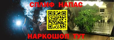 наркотики Бердск