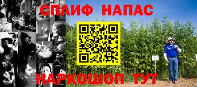 a pvp Белореченск
