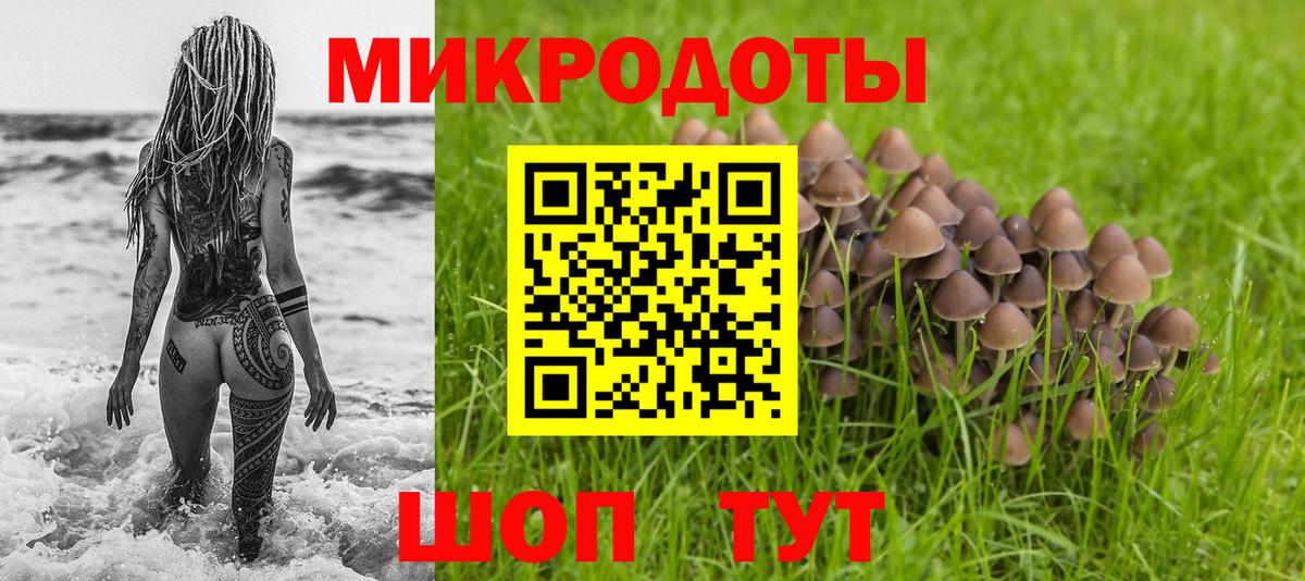 купить наркоту  Галлюциногенные грибы Cubensis  Вход с VPN  Зима 